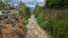 Doğa ve kırsal alan, Kaya Çayı'nda taşlı yürüyüş yolu, doğal bitki örtüsü ve çevre.